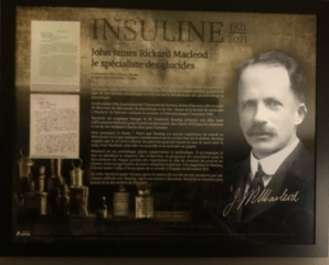 John James Rickard Macleod
