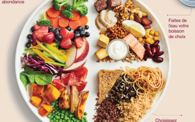 À quoi ressemble un repas équilibré?
