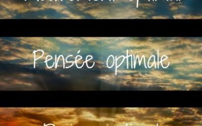 Les habitudes Domino