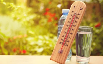 Canicule et diabète 